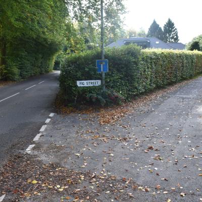 Dsc 0164